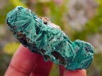 Natural Silky Malachite Specimens x 37 From Kasompe, Congo
