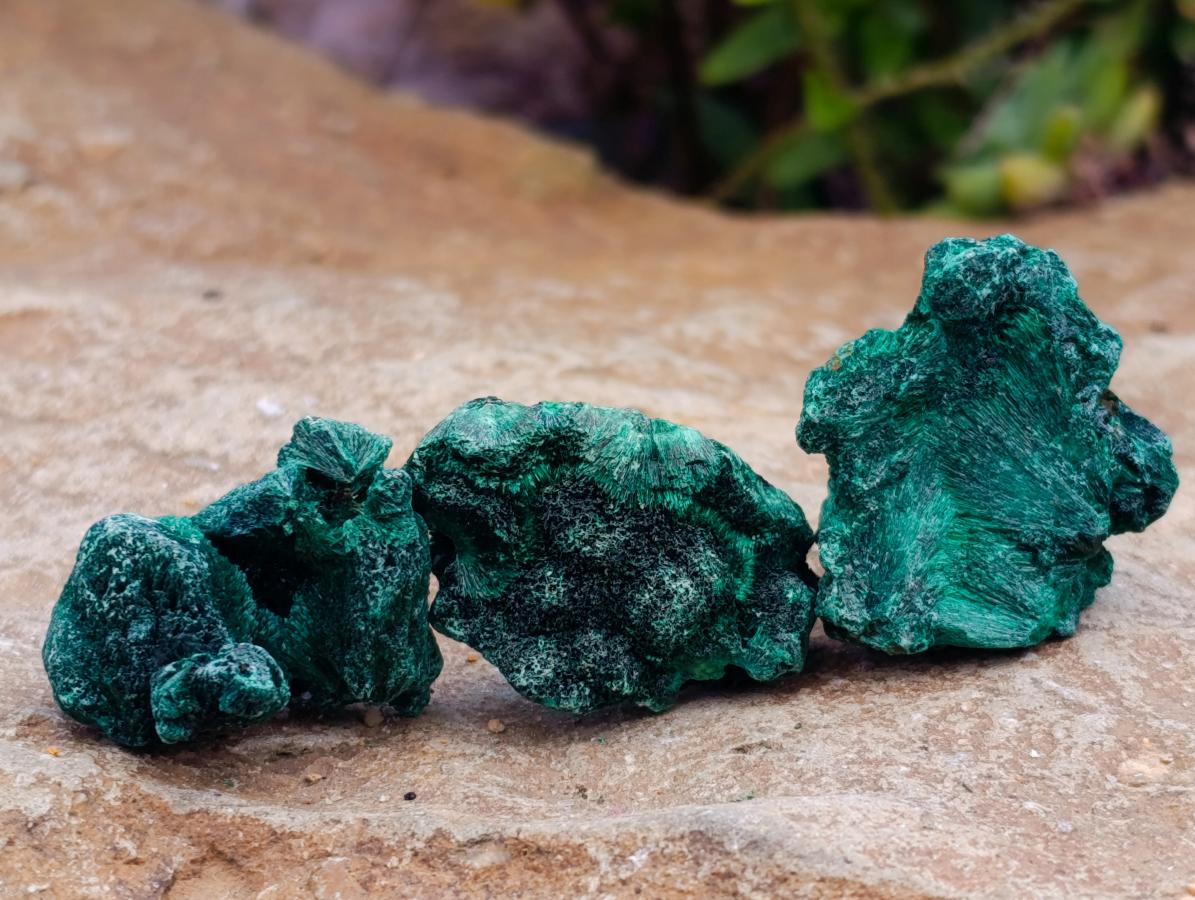 Natural Silky Malachite Specimens x 37 From Kasompe, Congo