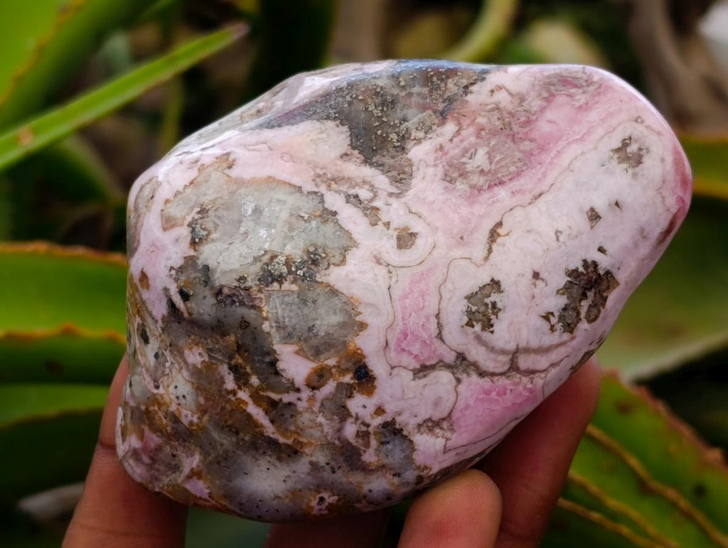 Polished Cobaltion Calcite in Dolomite Free Forms x 6 From Kakanda, Congo