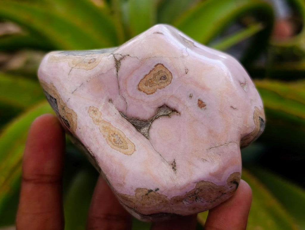 Polished Cobaltion Calcite in Dolomite Free Forms x 6 From Kakanda, Congo