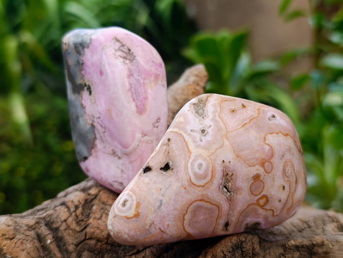 Polished Cobaltion Calcite in Dolomite Free Forms x 6 From Kakanda, Congo