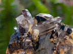 Natural Smokey Quartz Clusters with Associated Minerals x 12 From Zomba Plateau, Malawi