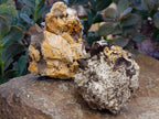 Natural Smokey Quartz Clusters with Associated Minerals x 12 From Zomba Plateau, Malawi