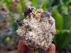 Natural Smokey Quartz Clusters with Associated Minerals x 12 From Zomba Plateau, Malawi