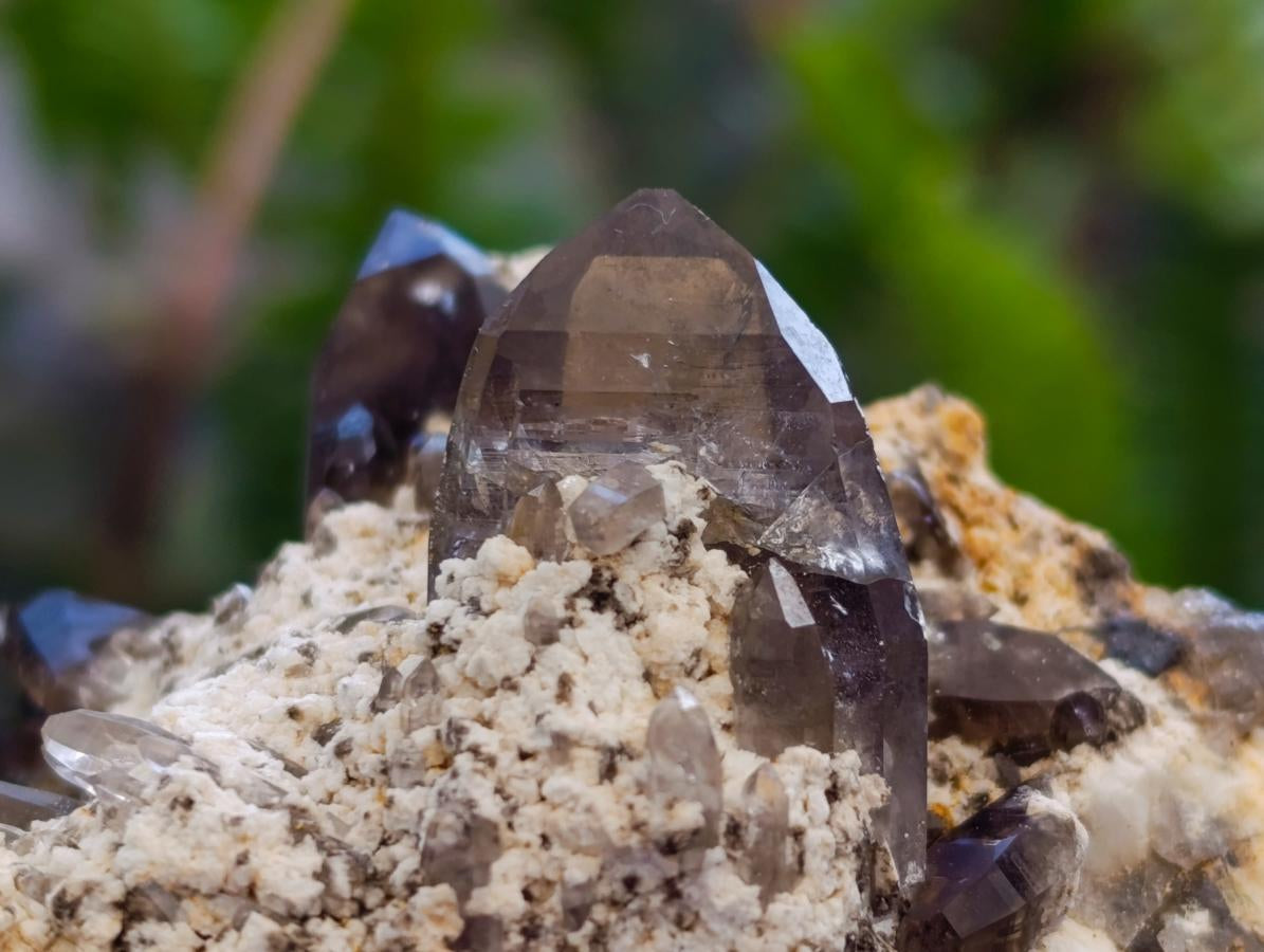 Natural Smokey Quartz Clusters with Associated Minerals x 12 From Zomba Plateau, Malawi