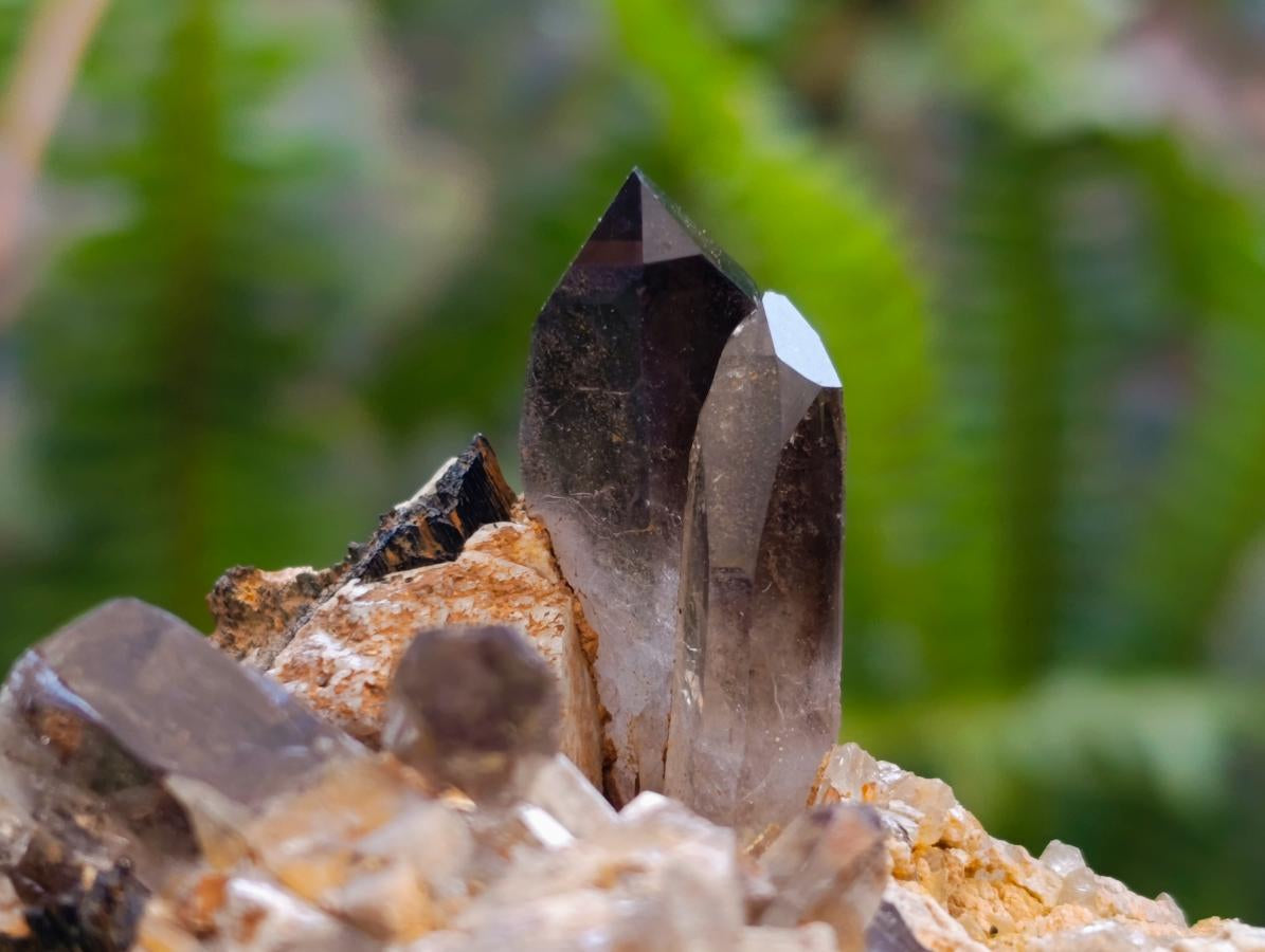 Natural Smokey Quartz Clusters with Associated Minerals x 12 From Zomba Plateau, Malawi