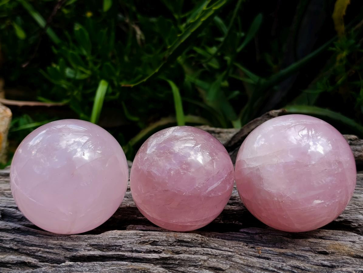 Polished Gemmy Star Rose Quartz Spheres x 3 From Madagascar