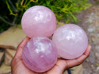 Polished Gemmy Star Rose Quartz Spheres x 3 From Madagascar