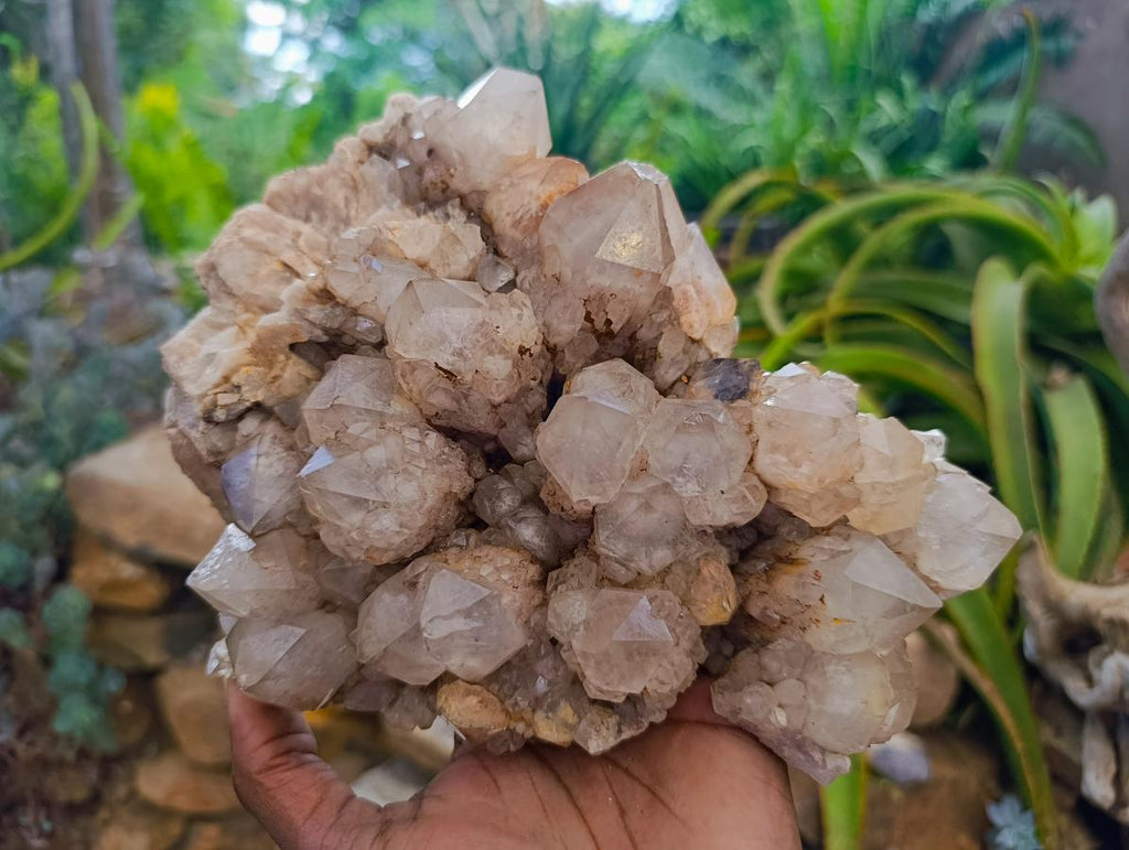 Natural Large White Phantom Cascading Smokey Luena Quartz Cluster x 1 From Luena, Congo