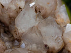 Natural Large White Phantom Cascading Smokey Luena Quartz Cluster x 1 From Luena, Congo