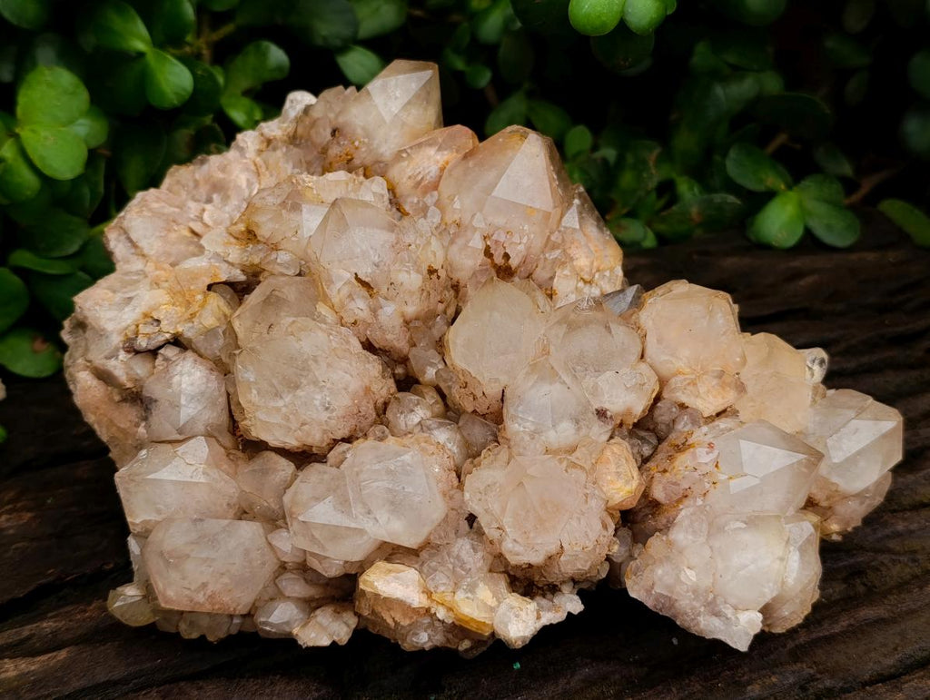 Natural Large White Phantom Cascading Smokey Luena Quartz Cluster x 1 From Luena, Congo