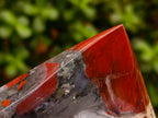 Polished Bloodstone Display Crystals x 2 From Swaziland