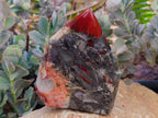 Polished Bloodstone Display Crystals x 2 From Swaziland