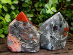 Polished Bloodstone Display Crystals x 2 From Swaziland