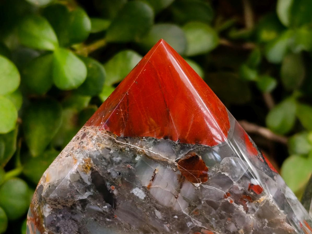 Polished Bloodstone Display Crystals x 2 From Swaziland
