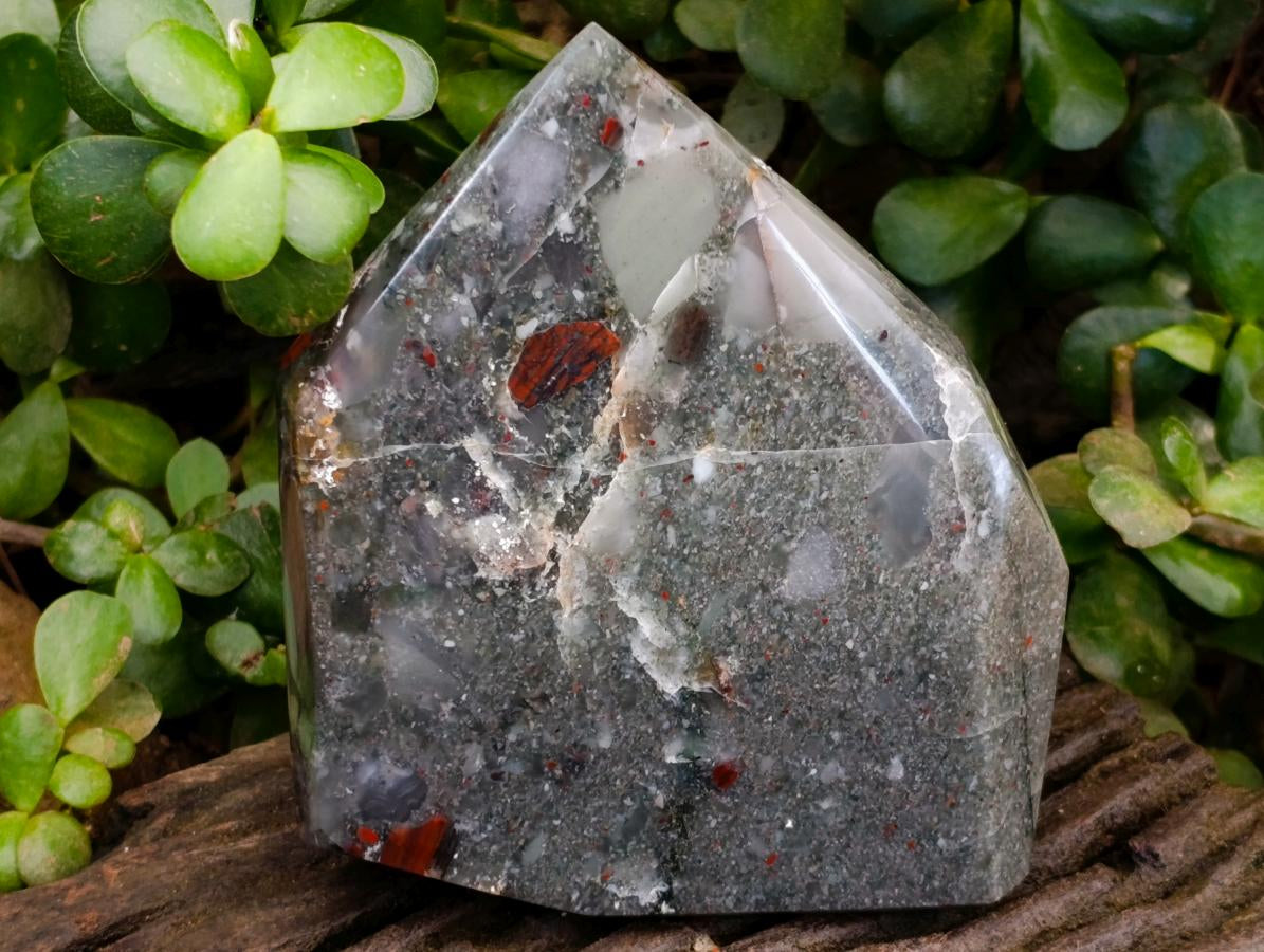 Polished Bloodstone Display Crystals x 2 From Swaziland