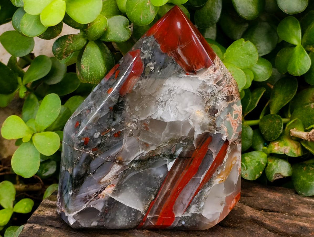 Polished Bloodstone Display Crystals x 2 From Swaziland
