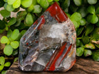 Polished Bloodstone Display Crystals x 2 From Swaziland