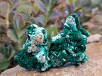 Natural Rare Malachite Pseudomorph Specimens x 12 From Kolwezi, Congo