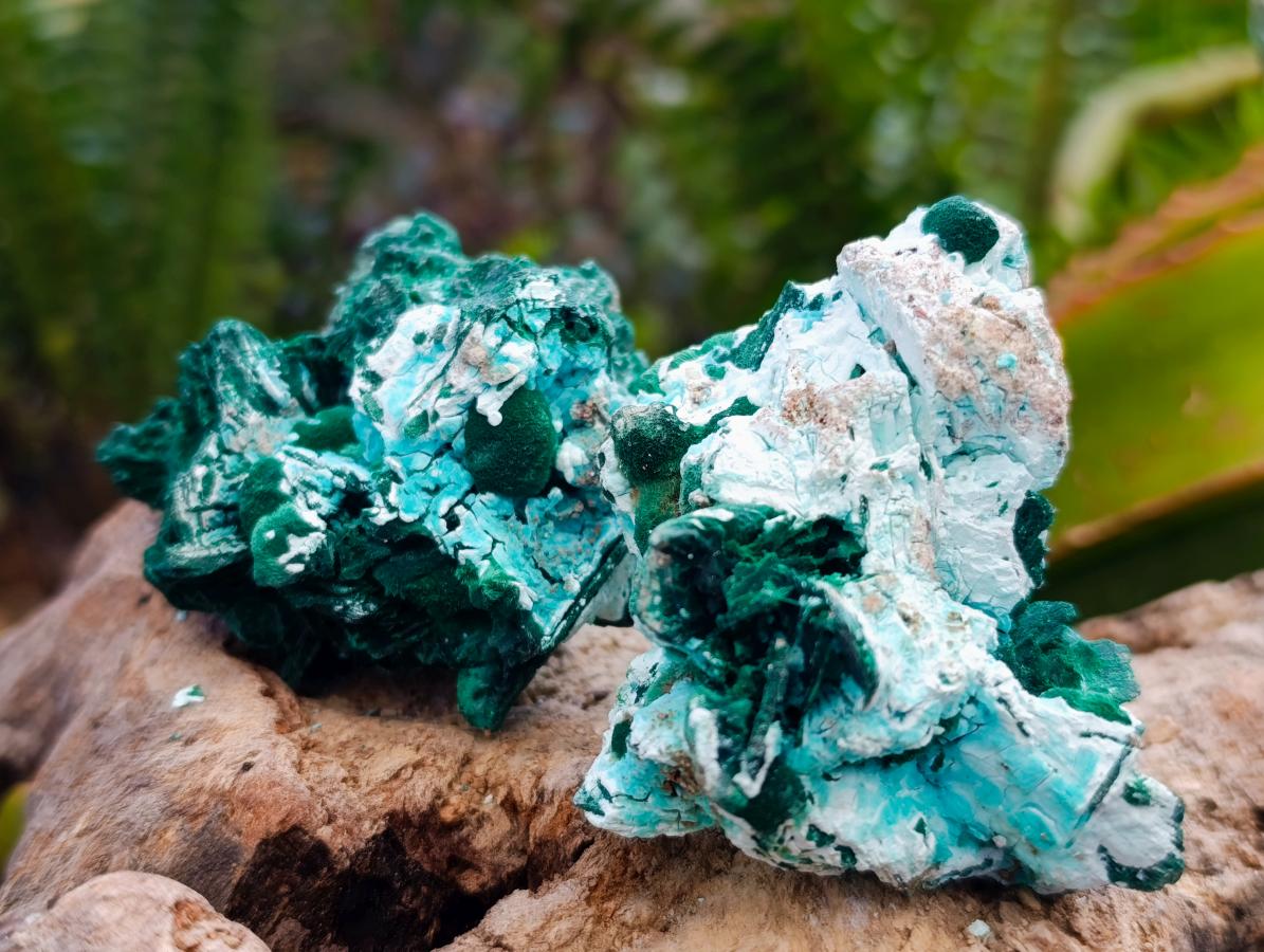 Natural Rare Malachite Pseudomorph Specimens x 12 From Kolwezi, Congo