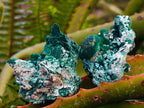 Natural Rare Malachite Pseudomorph Specimens x 12 From Kolwezi, Congo