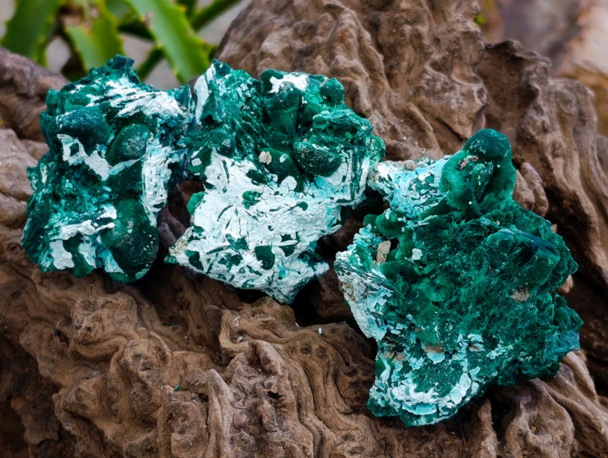 Natural Rare Malachite Pseudomorph Specimens x 12 From Kolwezi, Congo