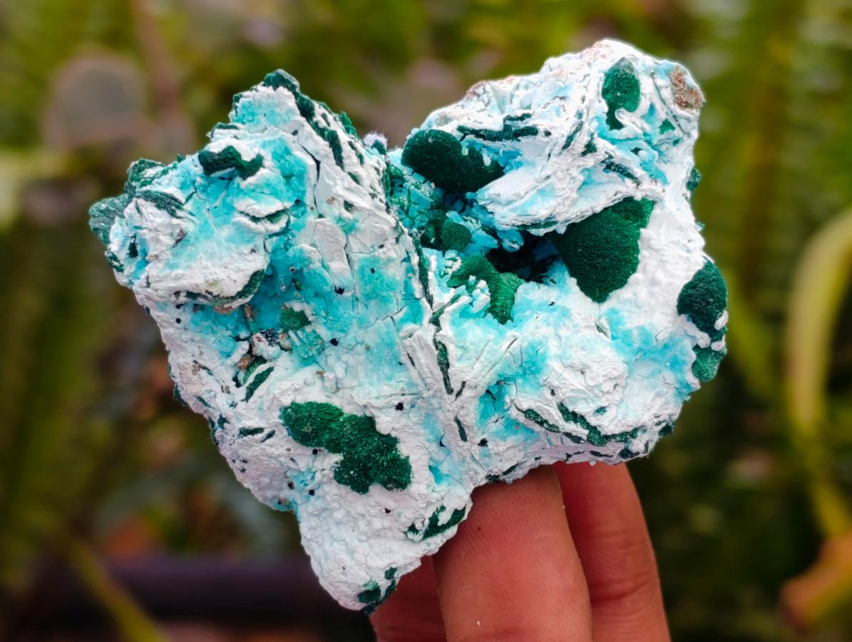 Natural Rare Malachite Pseudomorph Specimens x 12 From Kolwezi, Congo