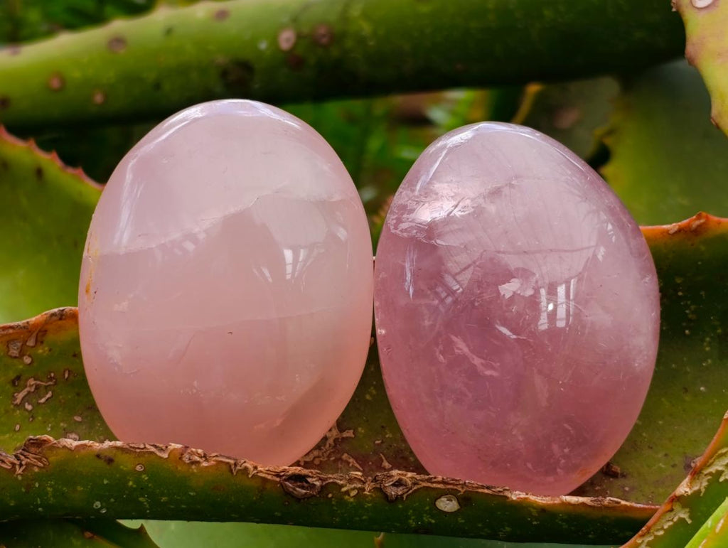 Polished Gemmy Rose Quartz Palm Stones x 14 From Madagascar