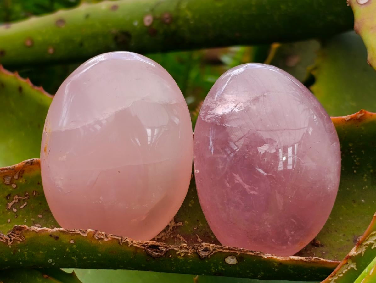 Polished Gemmy Rose Quartz Palm Stones x 14 From Madagascar