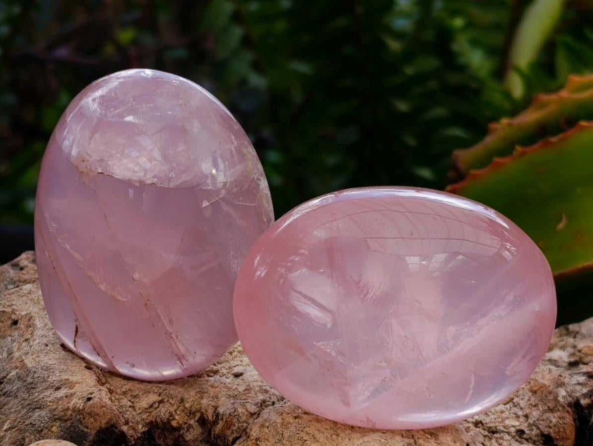 Polished Gemmy Rose Quartz Palm Stones x 14 From Madagascar
