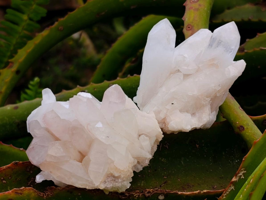 Natural Madagascar Quartz Clusters x 12 From Madagascar