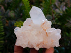 Natural Madagascar Quartz Clusters x 12 From Madagascar