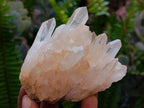 Natural Madagascar Quartz Clusters x 12 From Madagascar