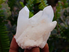 Natural Madagascar Quartz Clusters x 12 From Madagascar