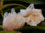 Natural Madagascar Quartz Clusters x 12 From Madagascar