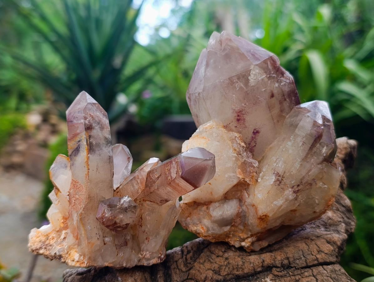 Natural Red Hematoid Quartz Clusters x 6 From Karoi, Zimbabwe