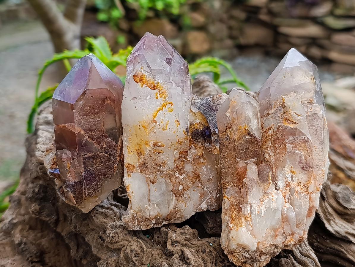 Natural Red Hematoid Quartz Clusters x 6 From Karoi, Zimbabwe