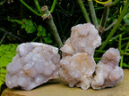 Natural Lilac Fairy Spirit Quartz Clusters x 3 From Boekenhouthoek, South Africa
