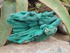 Natural Large Malachite Stalactite Cave Wall Specimen x 1 From Kolwezi, Congo