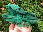 Natural Large Malachite Stalactite Cave Wall Specimen x 1 From Kolwezi, Congo