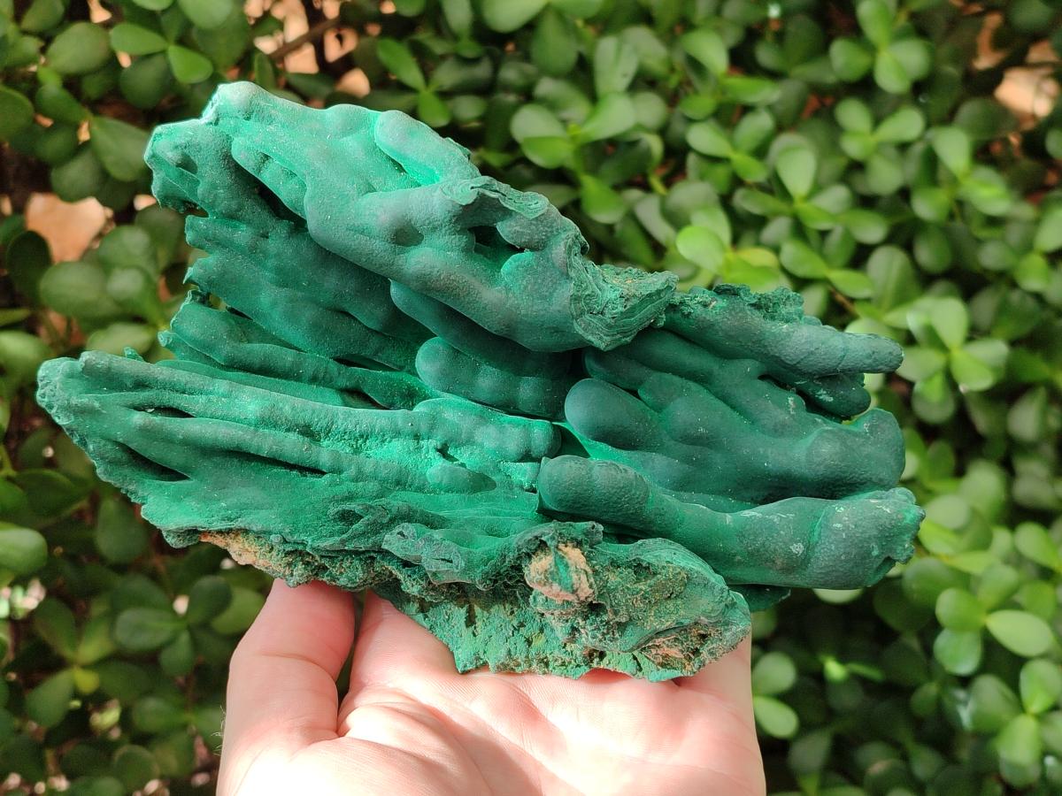Natural Large Malachite Stalactite Cave Wall Specimen x 1 From Kolwezi, Congo