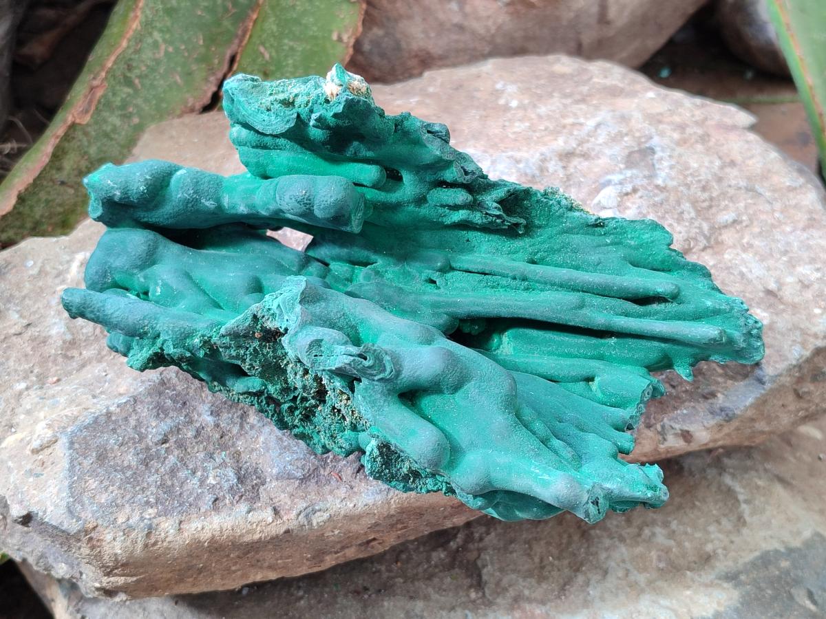 Natural Large Malachite Stalactite Cave Wall Specimen x 1 From Kolwezi, Congo