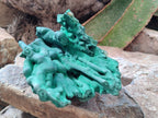 Natural Large Malachite Stalactite Cave Wall Specimen x 1 From Kolwezi, Congo
