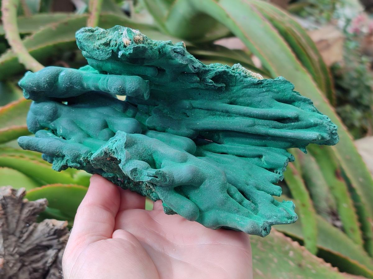 Natural Large Malachite Stalactite Cave Wall Specimen x 1 From Kolwezi, Congo