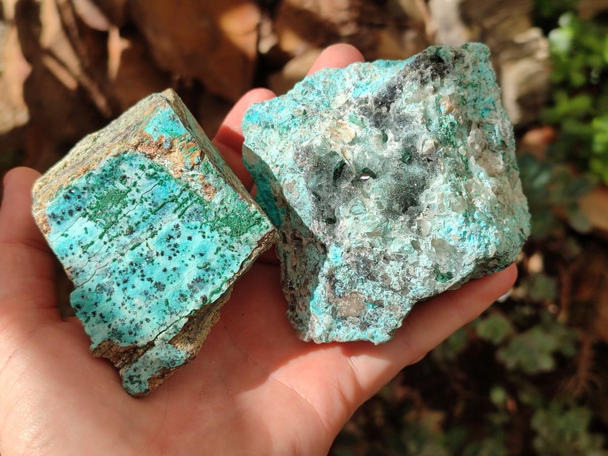 Natural Drusy Coated Chrysocolla with Malachite and Heterogenite on Dolomite Specimens x 7 From Lupoto Mine, Congo
