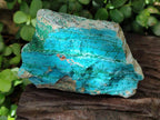 Natural Drusy Coated Chrysocolla with Malachite and Heterogenite on Dolomite Specimens x 7 From Lupoto Mine, Congo
