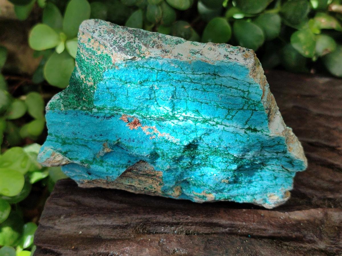 Natural Drusy Coated Chrysocolla with Malachite and Heterogenite on Dolomite Specimens x 7 From Lupoto Mine, Congo
