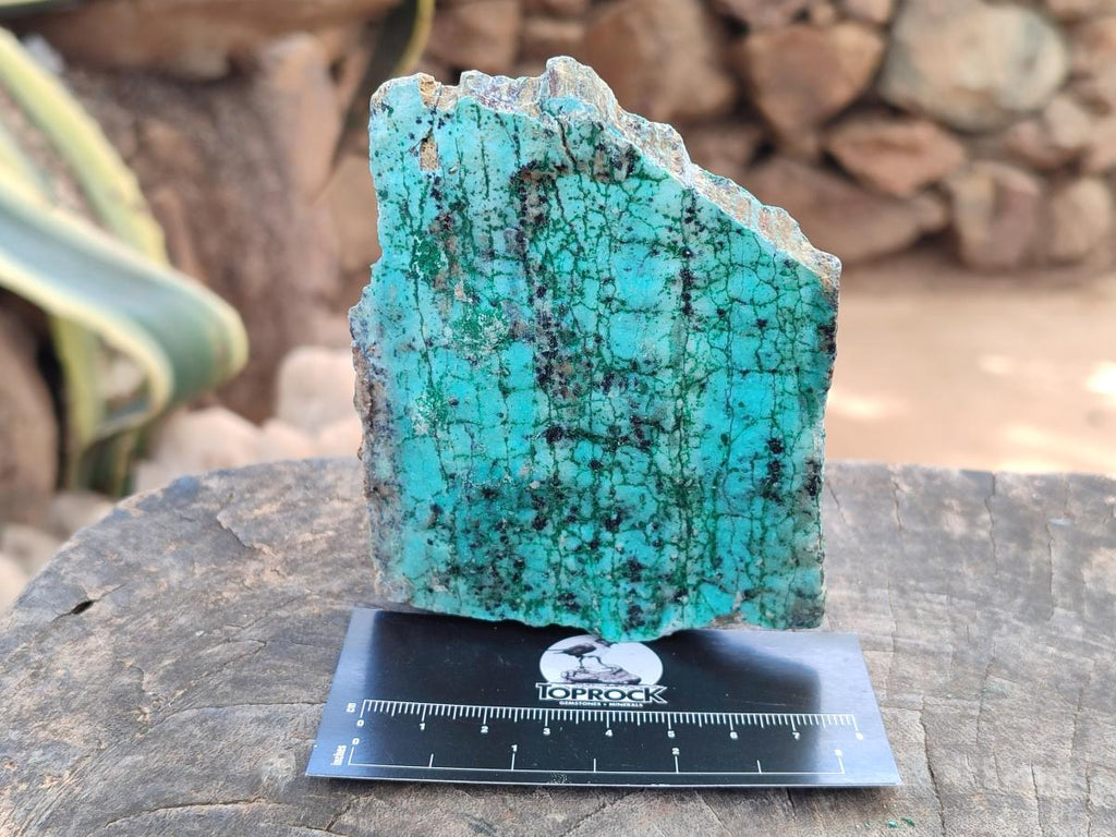 Natural Drusy Coated Chrysocolla with Malachite and Heterogenite on Dolomite Specimens x 7 From Lupoto Mine, Congo