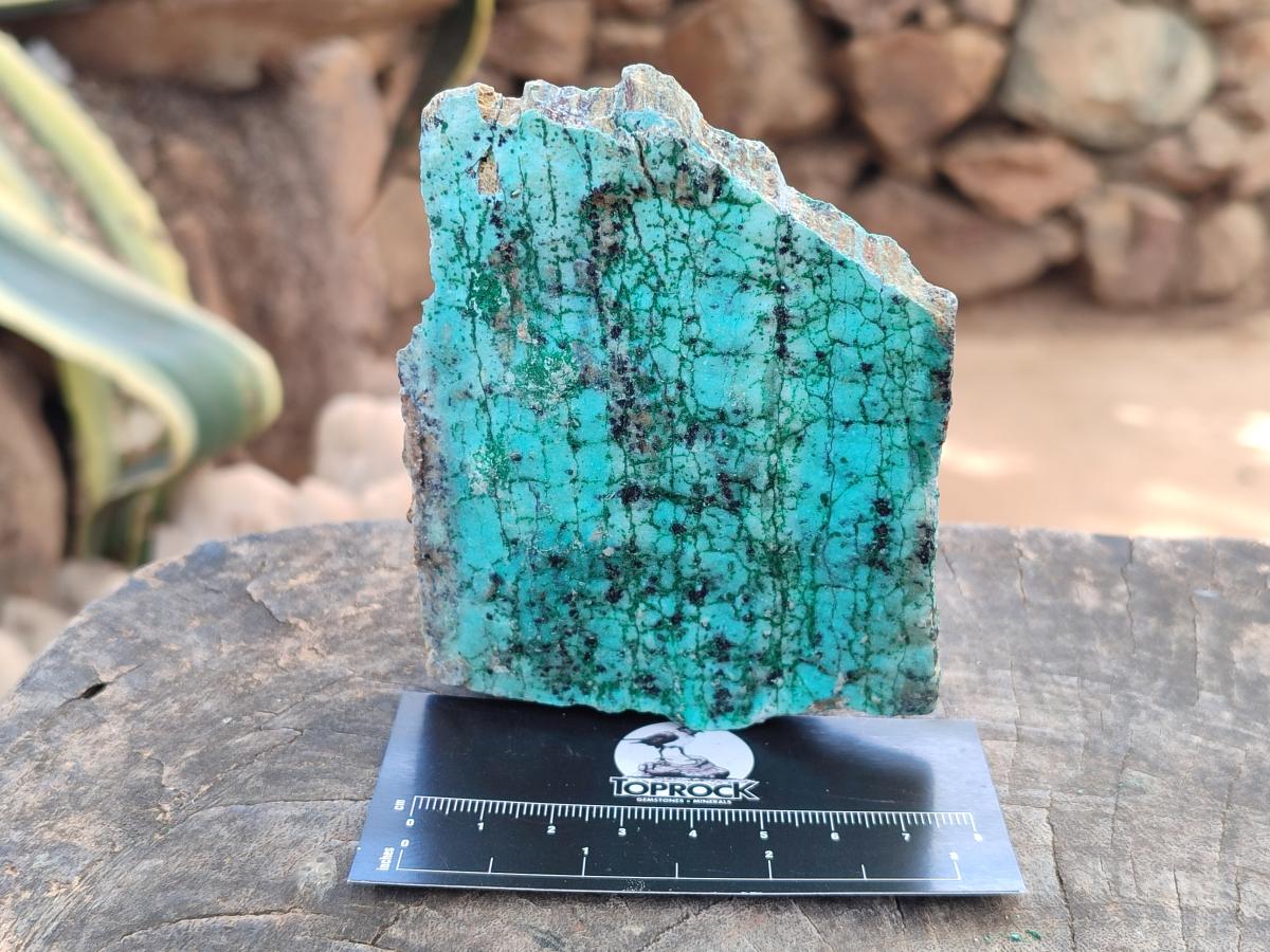 Natural Drusy Coated Chrysocolla with Malachite and Heterogenite on Dolomite Specimens x 7 From Lupoto Mine, Congo