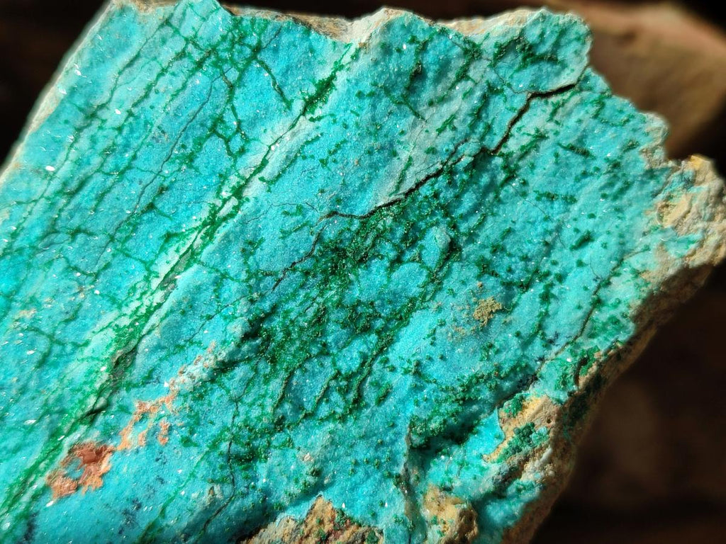 Natural Drusy Coated Chrysocolla with Malachite and Heterogenite on Dolomite Specimens x 7 From Lupoto Mine, Congo